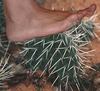 causes of neuropathy